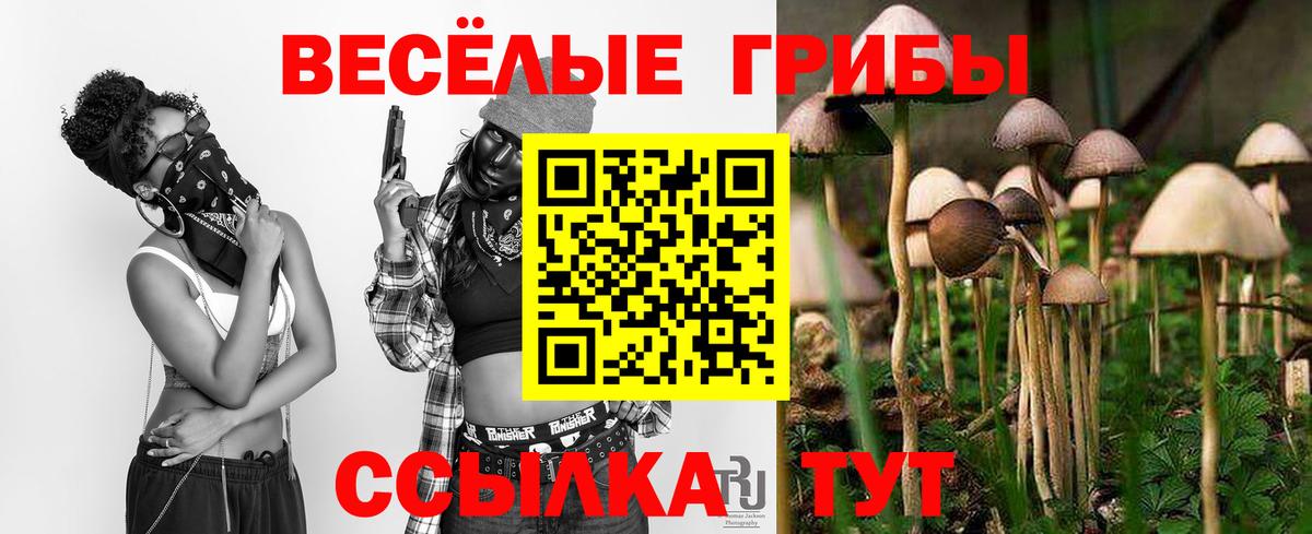 Псилоцибиновые грибы ЛСД  что такое   Армавир  Вход с VPN 